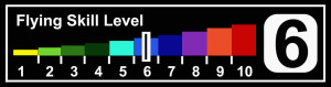 Flying Skill Level 6