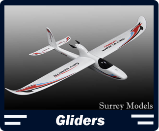 Large Scale RC Gliders