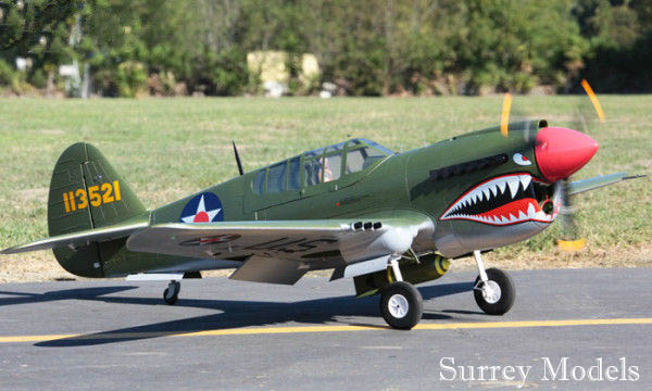 P40 Warhawk