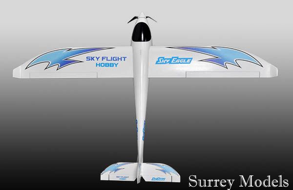 Radio Controlled Large Scale Glider