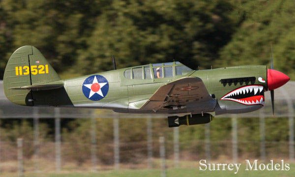 Remote Control Warbird