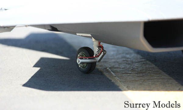 RC Large Scale Fighter Jet 