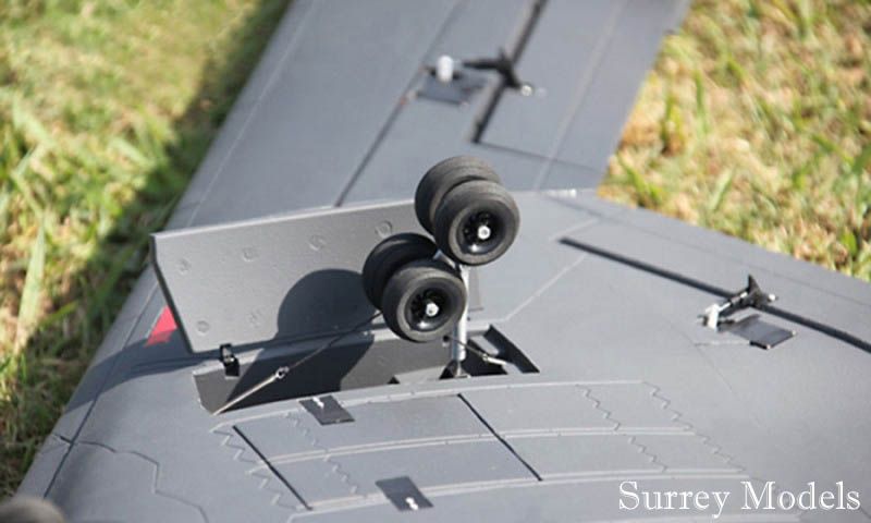 Remote Control Large Scale Jet Plane