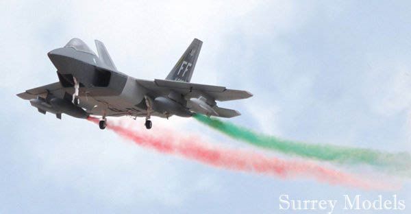 Radio Controlled F22 Raptor Twin EDF 70mm Jet