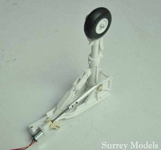 F22 Raptor Twin EDF 70mm