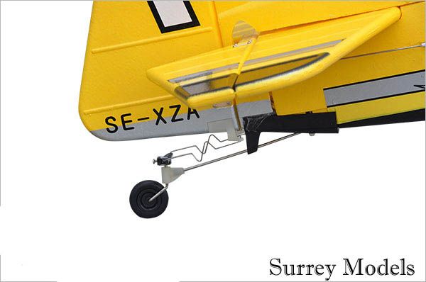 RC Large Scale 3D Plane