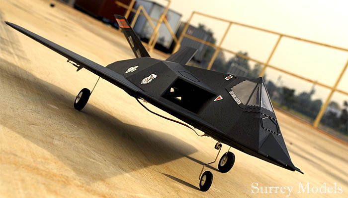 Remote Control EDF Fighter Stealth Jet
