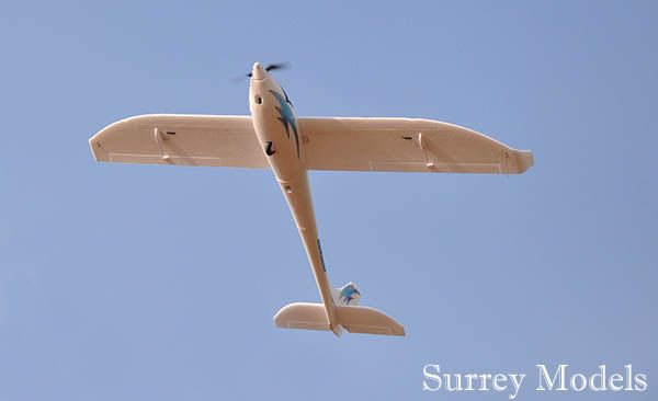 Surrey Models Sky Eagle Glider Plane
