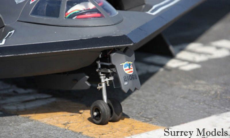 Radio Controlled Large Scale Jet Plane