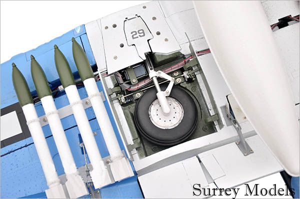 Radio Control Large Scale Warbird